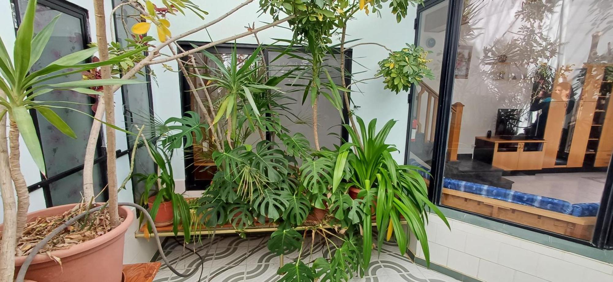 The Roof Garden Maisonette مارساسكالا المظهر الخارجي الصورة